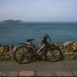 Fun Cardio - a purple bike parked next to a stone wall