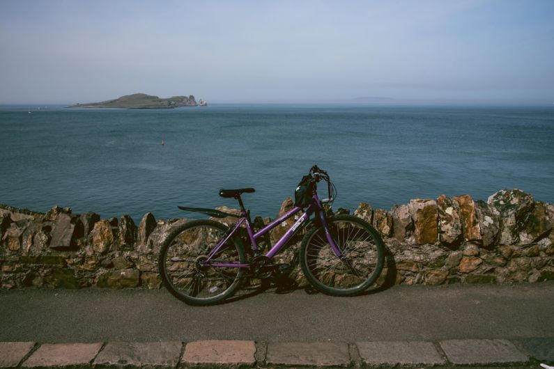 Fun Cardio - a purple bike parked next to a stone wall